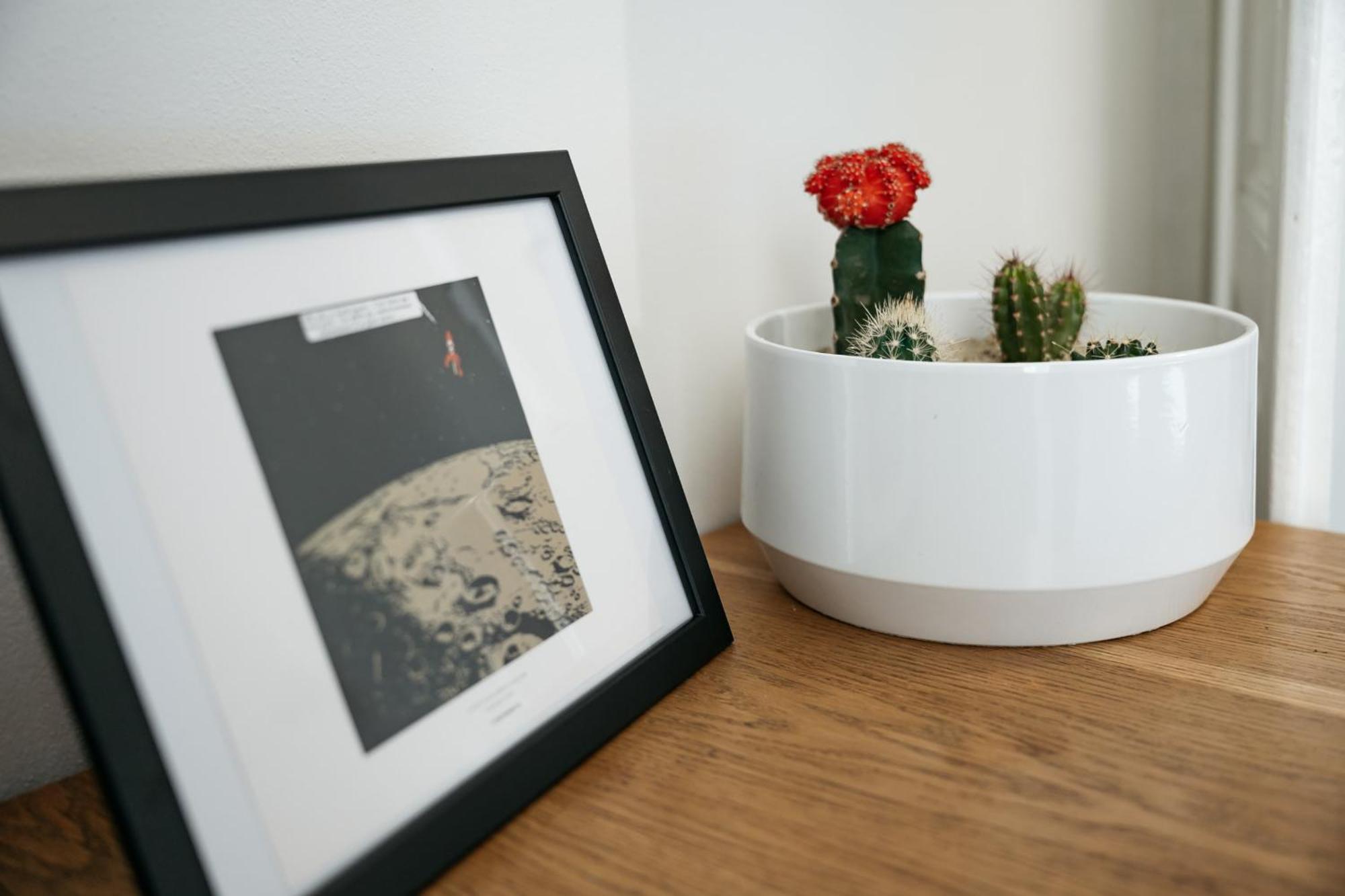 Comfortable And Cosy Apt A Few Steps From Dancing House And Naplavka Dance Prague Luaran gambar